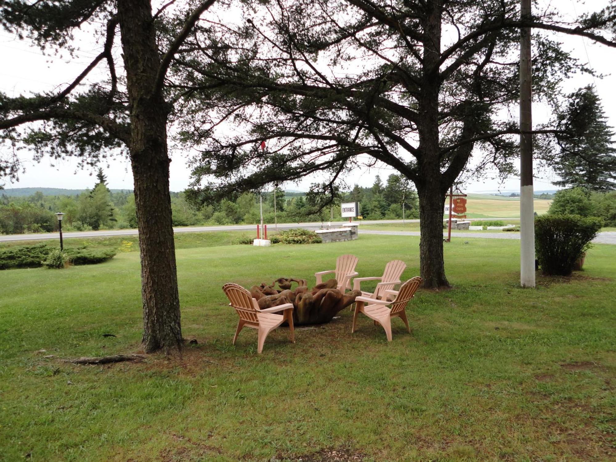Pinecone Motel Сассекс Экстерьер фото