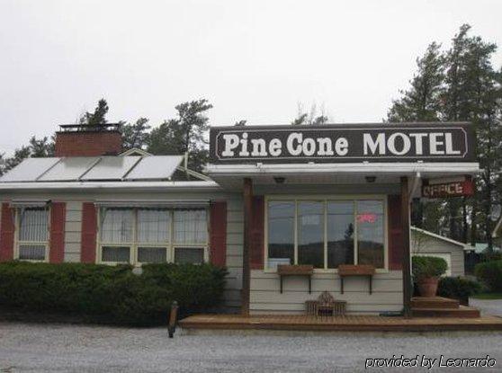 Pinecone Motel Сассекс Экстерьер фото