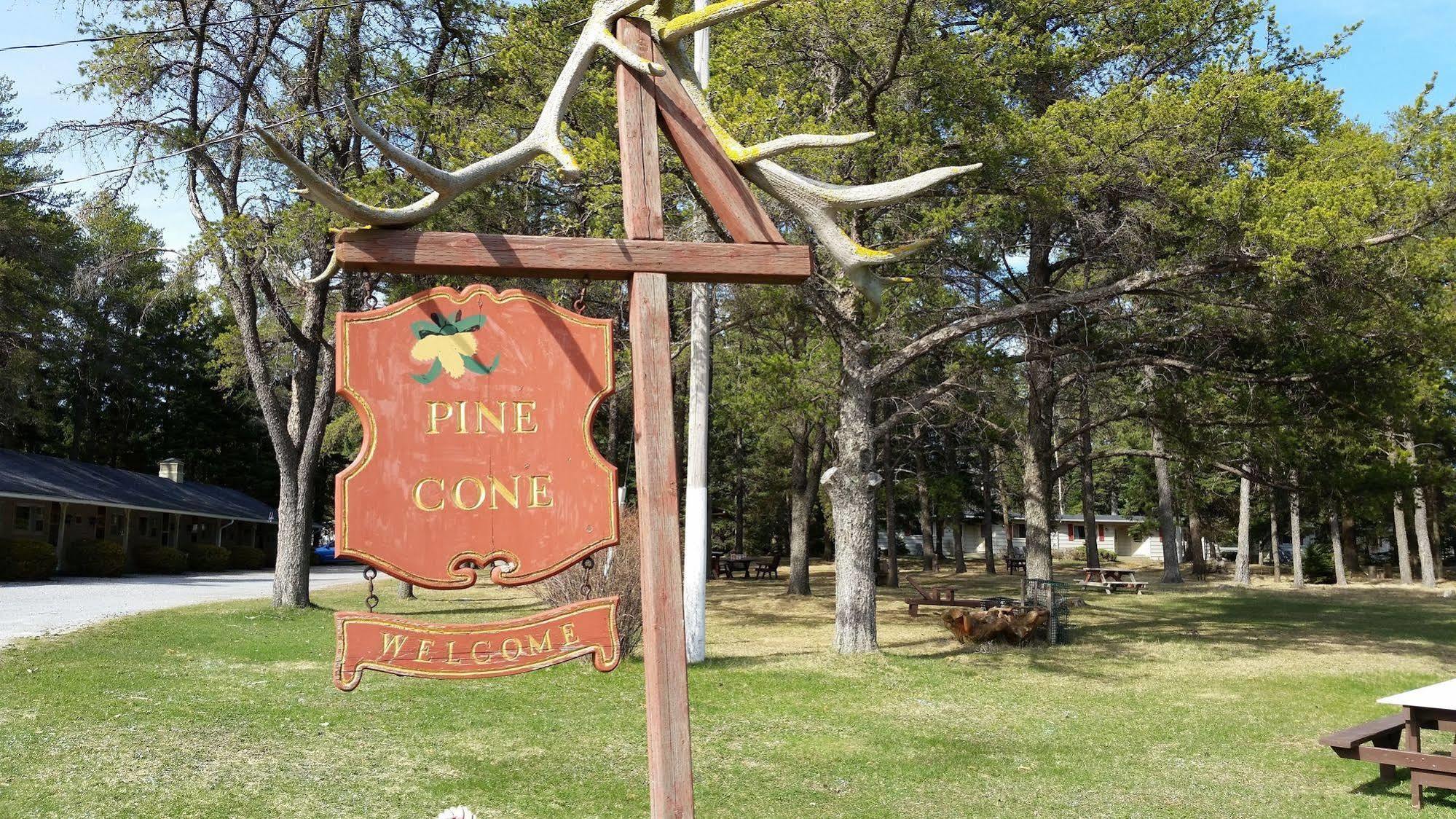 Pinecone Motel Сассекс Экстерьер фото